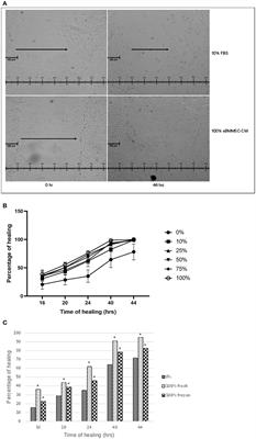 A pilot study to demonstrate the paracrine effect of equine, adult allogenic mesenchymal stem cells in vitro, with a potential for healing of experimentally-created, equine thoracic wounds in vivo